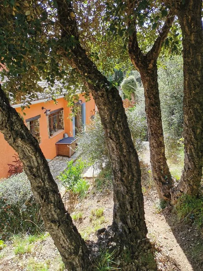 Villa Unica Con Piscina Privada Y Vistas Al Mar. Calonge  Spain